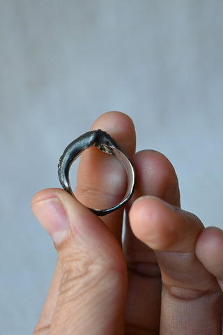 Expanded Cosmos Ring