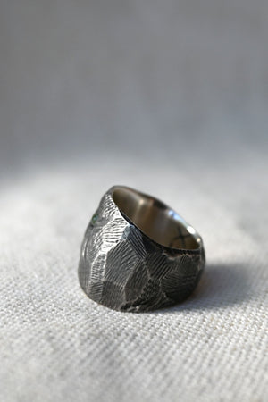 Neolithic Shield Ring