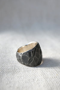 Neolithic Shield Ring